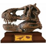 Albi Lovci lebek Tyrannosaurus – Zboží Dáma