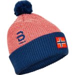 Bjorn Daehlie Zemsi 21/22 modrá/červená – Hledejceny.cz