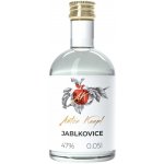 Anton Kaapl Jablkovice 47% 0,05 l (holá láhev) – Hledejceny.cz
