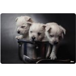 Podložka na stůl 60x40 cm Puppies – Zboží Dáma
