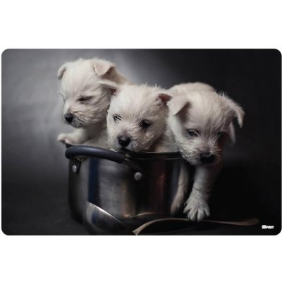 Podložka na stůl 60x40 cm Puppies – Zboží Dáma