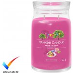 Yankee Candle Signature Art In The Park 567 g – Zboží Dáma