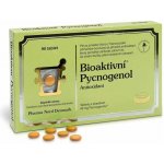 PHX Bioaktivní Pycnogenol 90 tablet – Hledejceny.cz