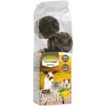 Nature LAND Pochoutka Brunch sušenky s pampeliškou a petrželí 120 g – Zboží Dáma