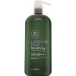 Paul Mitchell Moisturizing Conditioner Tea Tree Lavender Mint 1000 ml – Zbozi.Blesk.cz