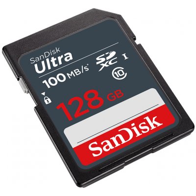 SanDisk SDXC 128 GB SDSDUNR-128G-GN3IN – Zboží Mobilmania