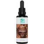 Kaapa Mushrooms Soma CHAGA mushroom tinktura 50 ml – Hledejceny.cz