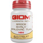 Giom L-karnitin Aktiv Mini 60 tbl – Hledejceny.cz
