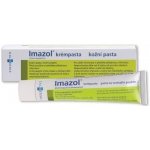 IMAZOL KRÉMPASTA DRM 10MG/G DRM PST 1X30G – Sleviste.cz