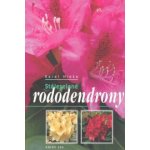 Stálezelené rododendrony – Hledejceny.cz