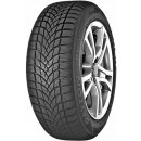 DAYTON DW510 EVO 225/45 R17 91H