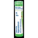 AESCULUS HIPPOCASTANUM POR 5CH GRA 1X4G – Hledejceny.cz