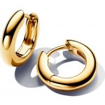 Pandora Luxusní pozlacené kruhové náušnice Essence 263320C00 – Hledejceny.cz