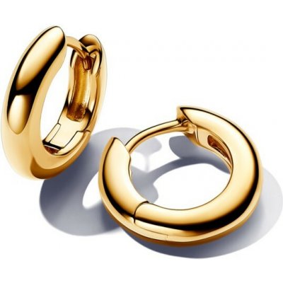 Pandora Luxusní pozlacené kruhové náušnice Essence 263320C00 – Hledejceny.cz