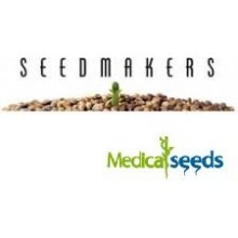Seedmakers Super Diesel semena neobsahují THC 5 ks