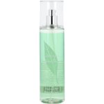 Elizabeth Arden Green Tea tělový závoj 236 ml – Zboží Dáma