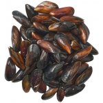 Premier Holandské mušle Slávka jedlá, velikost Super 1 kg – Sleviste.cz