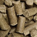 SPEED Pamlsky Delicious různé příchutě jablko 1 kg – Sleviste.cz