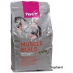 Pavo Muscle Build NEW 3 kg – Zboží Dáma