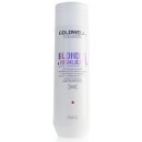 Goldwell Dualsenses Blondes & Highlights Shampoo 250 ml