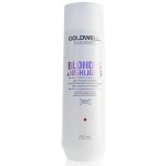 Goldwell Dualsenses Blondes & Highlights Shampoo 250 ml – Zboží Dáma