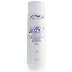 Goldwell Dualsenses Blondes & Highlights Shampoo 250 ml – Hledejceny.cz