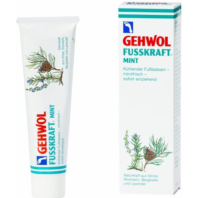 Gehwol Fusskraft Mint chladivý krém 75 ml – Zboží Mobilmania