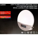 Auriol 344644 DAB – Sleviste.cz