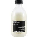 Davines Oi šampon pro mimořádný lesk a jemnost vlasů 280 ml – Hledejceny.cz