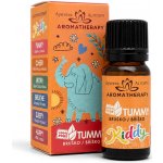 Altevita Esenciální olejová směs Kiddy Tummy Bříško 10 ml – Hledejceny.cz