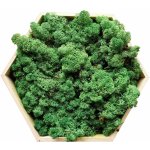 mech-mech.cz Sobí mech Norský - tráva ve stínu - 50g – Zboží Dáma