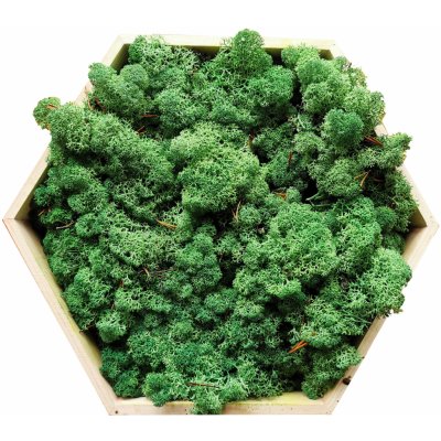 mech-mech.cz Sobí mech Norský - tráva ve stínu - 50g – Zboží Dáma