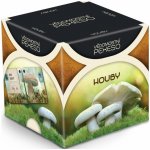 Albi Vědomostní pexeso Houby – Zboží Živě