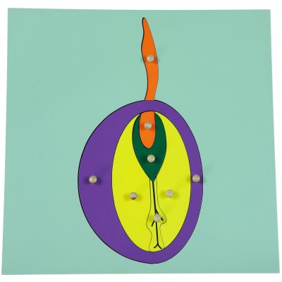 Montessori B003 Puzzle Semeno – Zboží Dáma
