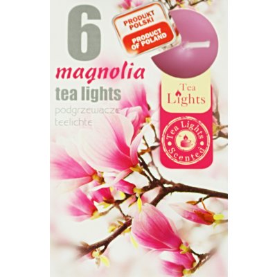 Admit Tea Lights Magnolia 6 ks