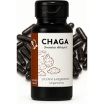 LifeChi Chaga Inonotus obliquus extrakt 300 mg 100 rostlinných kapslí – Hledejceny.cz