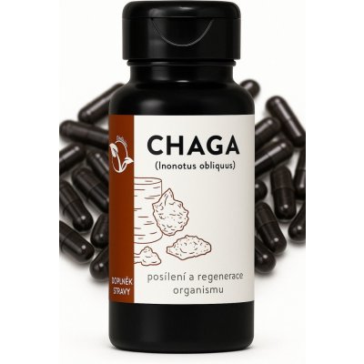 LifeChi Chaga Inonotus obliquus extrakt 300 mg 100 rostlinných kapslí – Hledejceny.cz