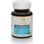 Maharishi Ayurveda Prana-Rasayana 20 tablet – Hledejceny.cz