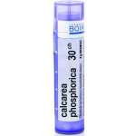 CALCAREA PHOSPHORICA POR 30CH GRA 1X4G – Hledejceny.cz