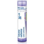 CALCAREA CARBONICA POR 30CH GRA 1X4G – Hledejceny.cz