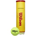 Wilson Championship 4 ks – Hledejceny.cz