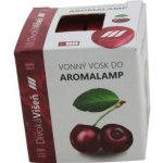 Rentex vonný vosk palmový do aroma lampy kostky Divoká Višeň 8 ks 30 g – Zboží Dáma