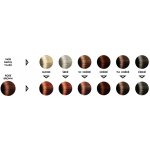 Voono Henna na vlasy Rose Brown 100 g – Sleviste.cz