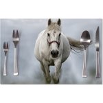 Sablio prostírání Bílý kůň 3 40x30cm – Zboží Mobilmania