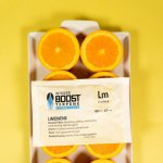 Integra Boost Terpene Essentials Limonen 67g, 62%, 1 ks – Zboží Dáma