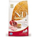 N&D Ancestral Grain Puppy Starter Chicken & Pomegranate 0,8 kg – Hledejceny.cz