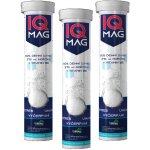 IQ Mag hořčík + B6 60 šumivé tablety – Hledejceny.cz