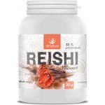Naturgreen Ganoderma Reishi 100 kapslí – Hledejceny.cz