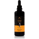 Hrotlife Chaga tinktura 100 ml – Hledejceny.cz