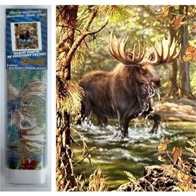 Norimpex Diamantové malování Los v řece 30 x 40 cm – Sleviste.cz